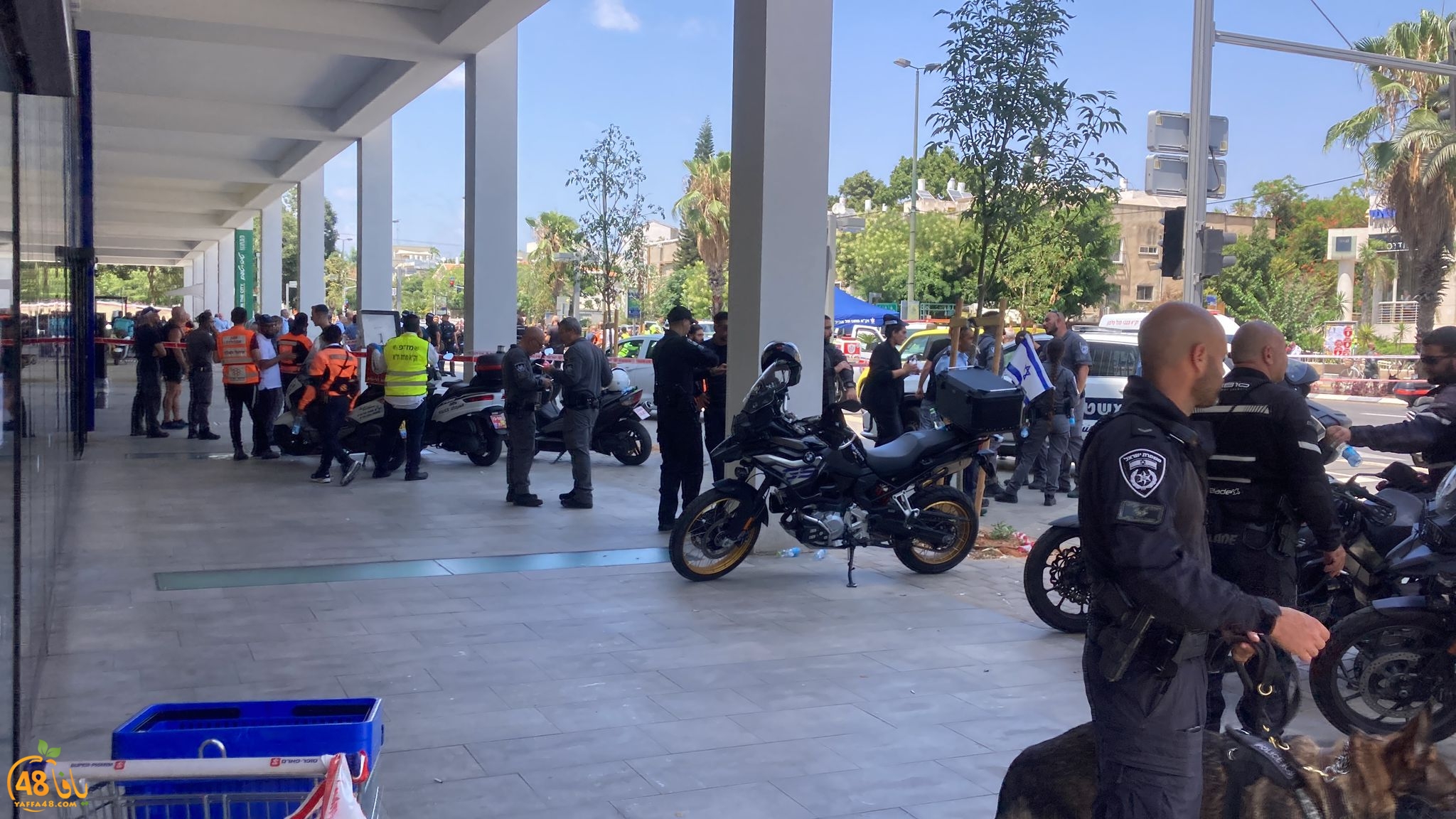 WhatsApp Image 2023-07-04 at 2.05.29 PM.jpeg